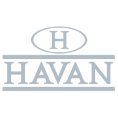 havan logo havan logo